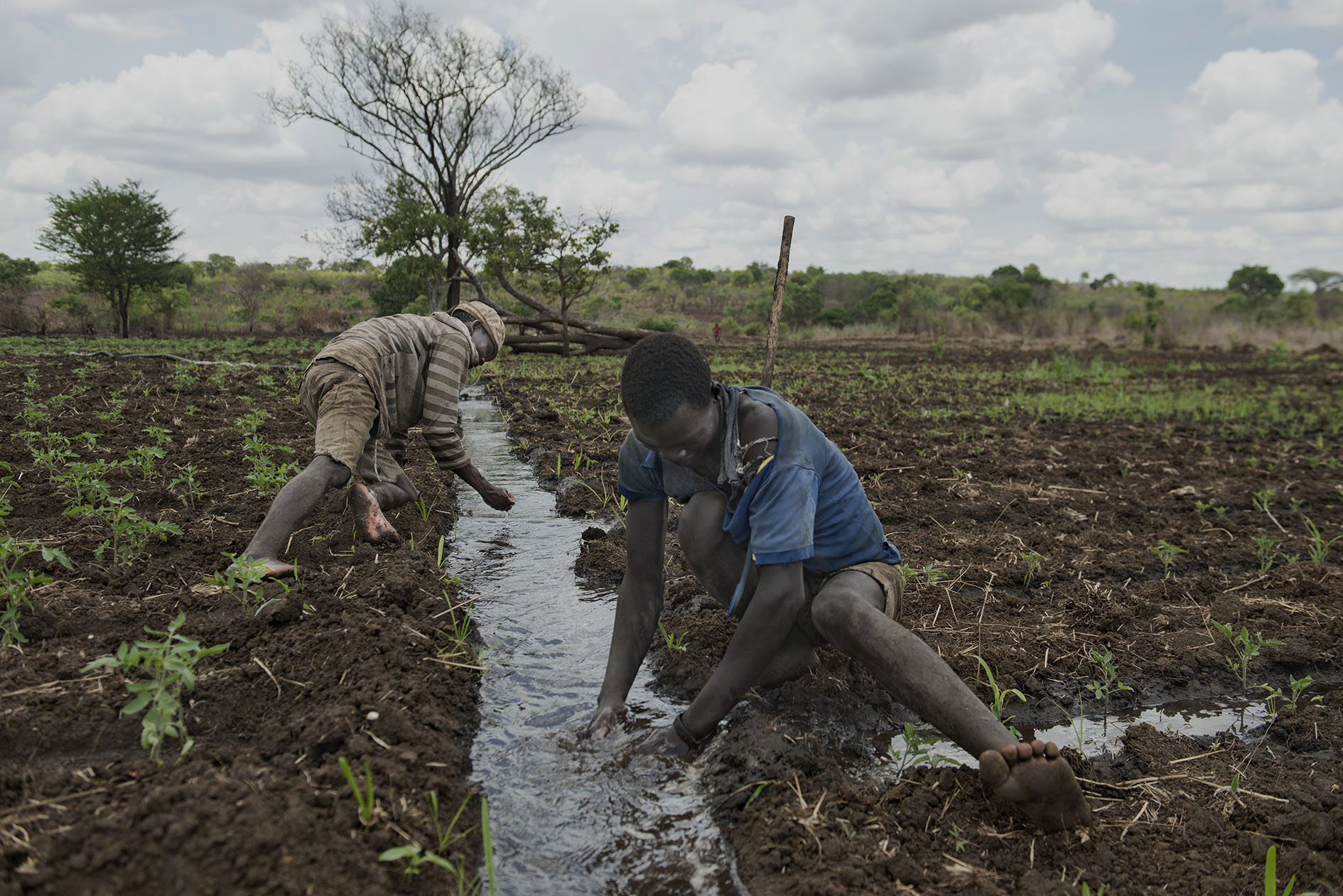 Foto: © Miguel Lizana / AECID