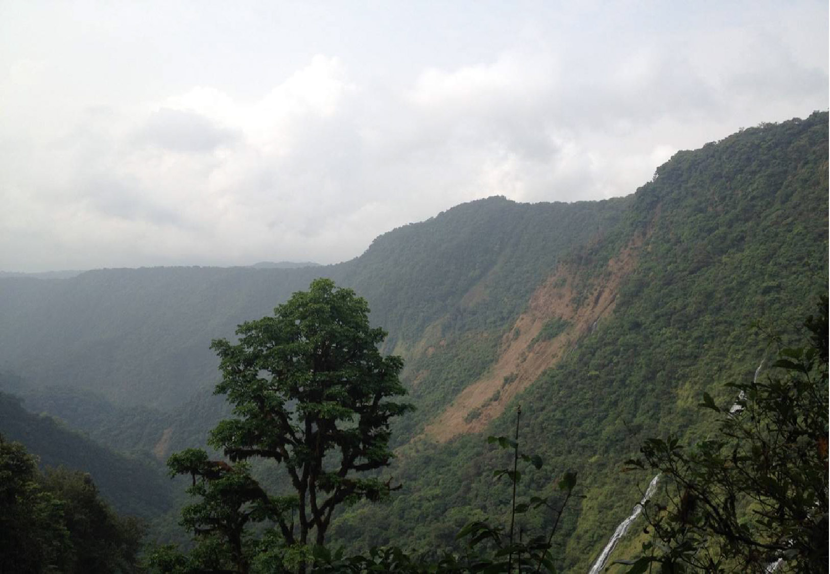Heronas del Cine Programa de Cine Familiar