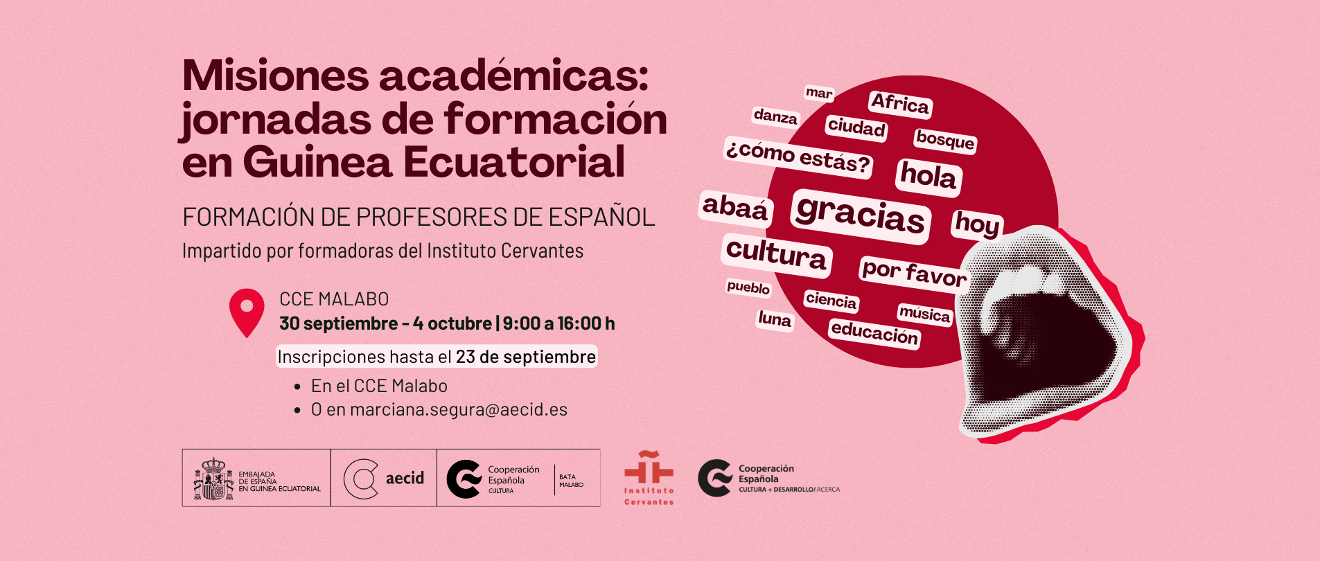 Misiones Acadmicas Formacin de profesorado de espaol