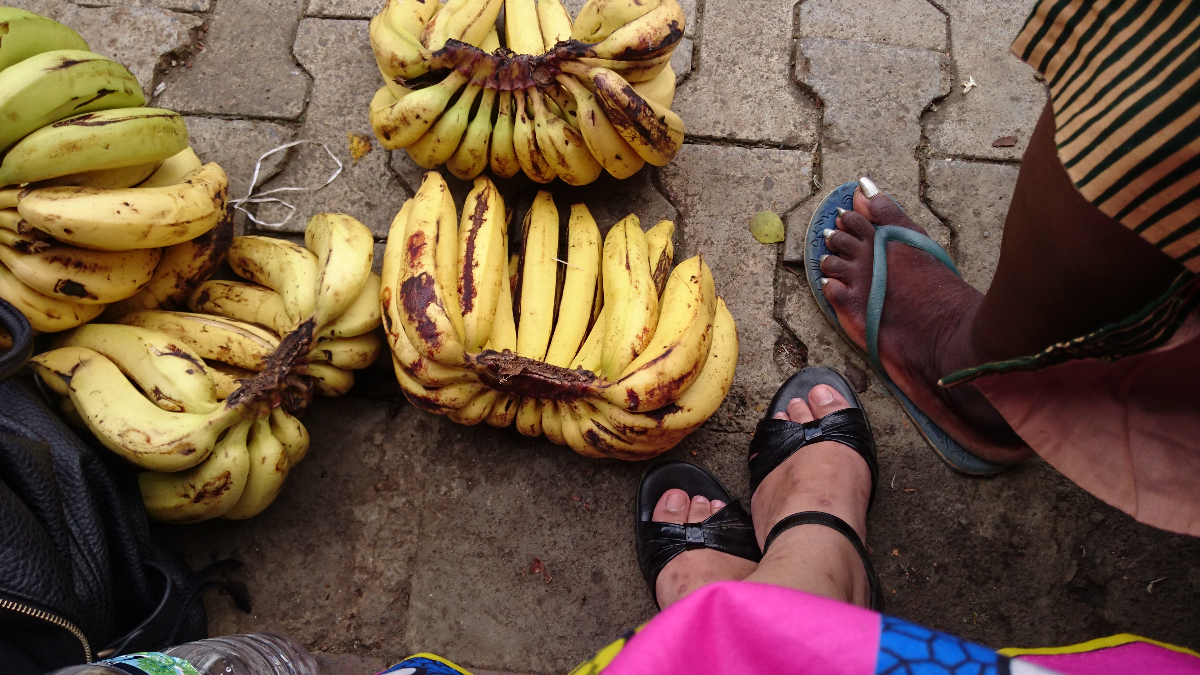 Mtodos de documentacin