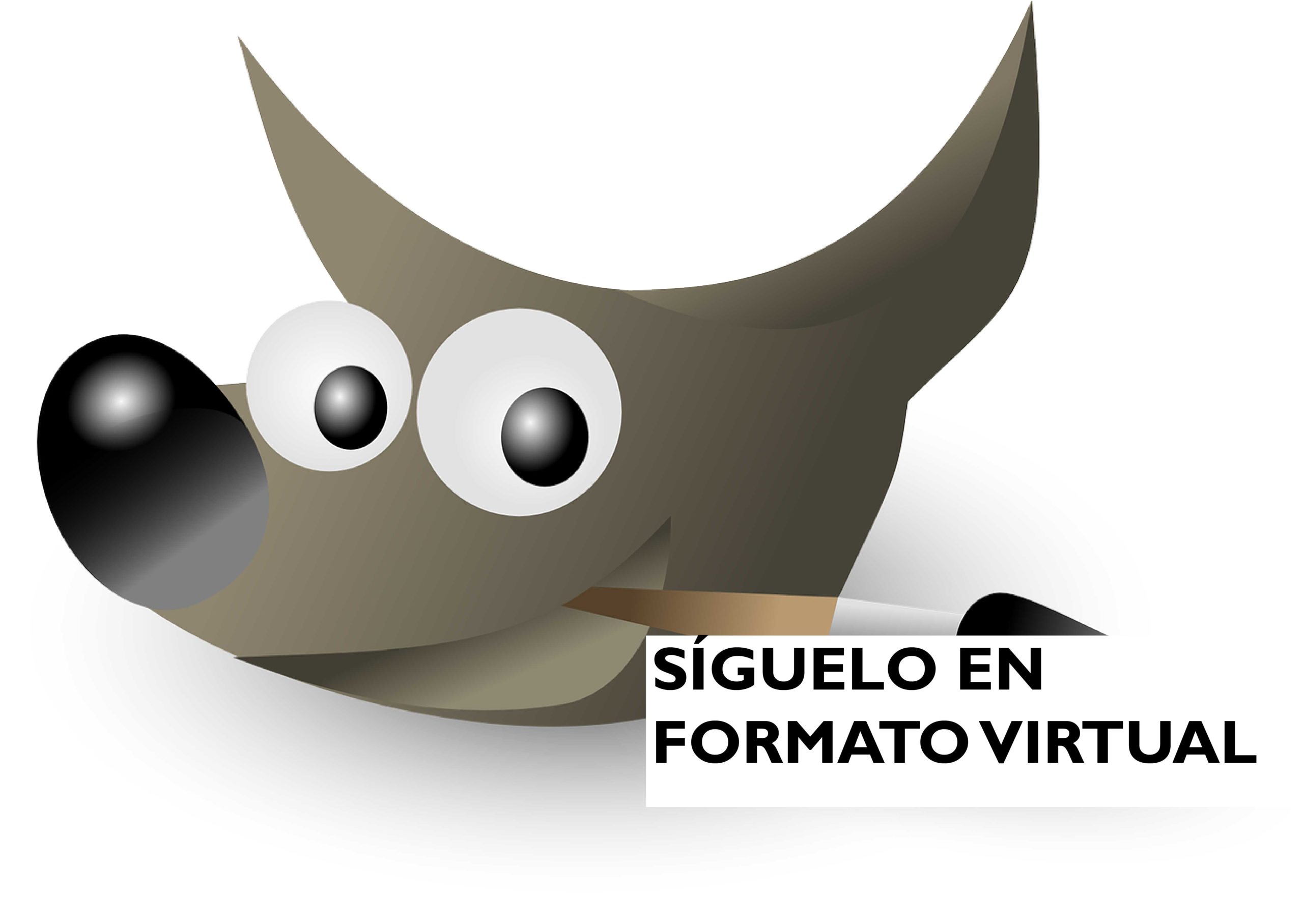 Taller de edicin de fotografa