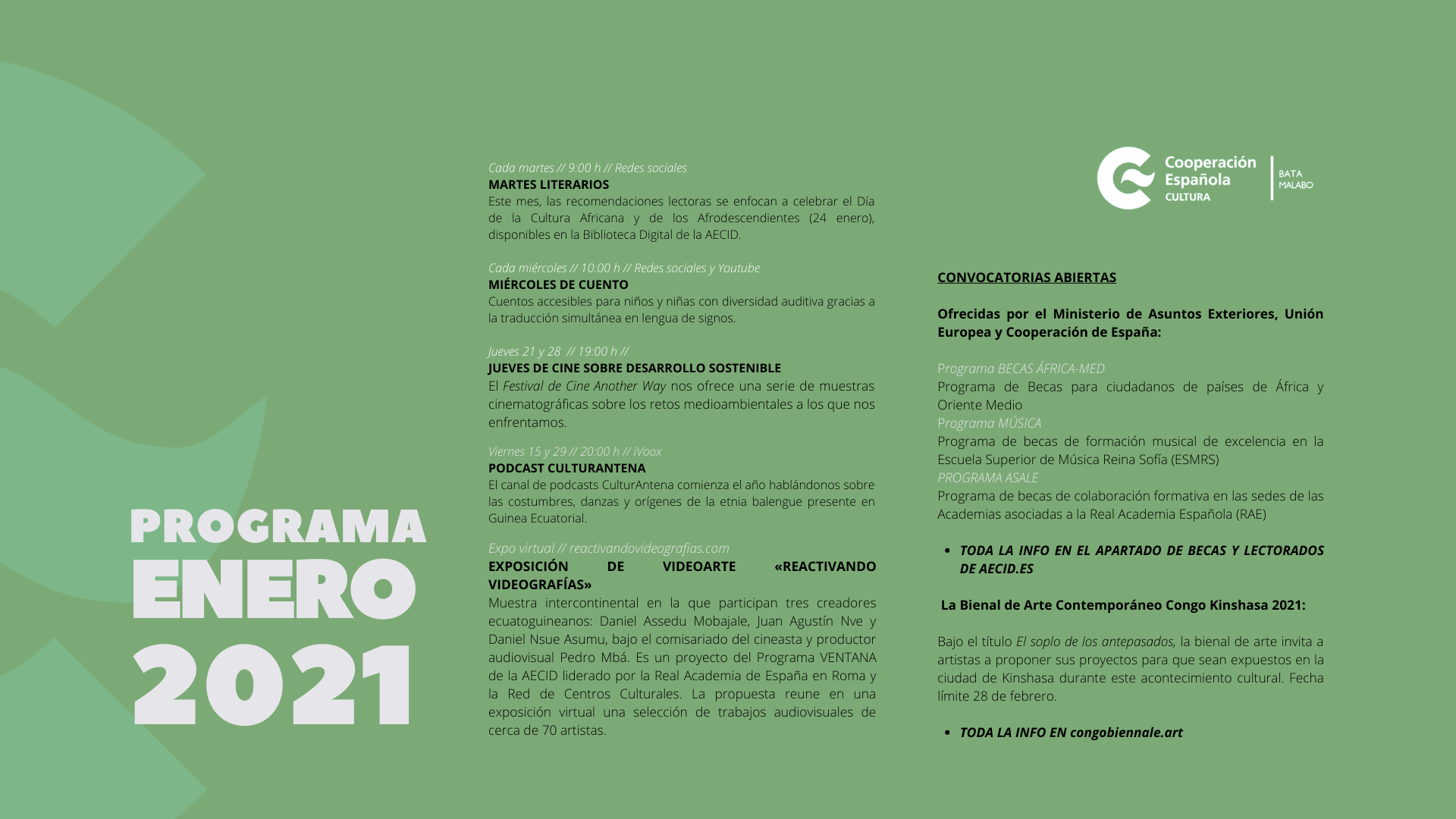 Programa virtual enero
